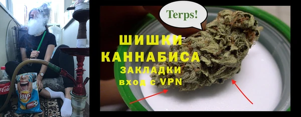 бошки Козельск