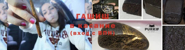 прущие грибы Кодинск