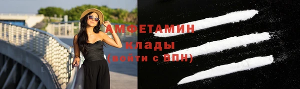 стафф Касимов