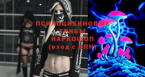 стафф Касимов