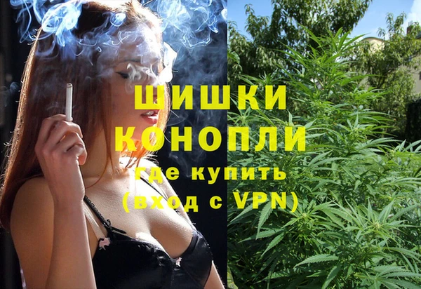 мдпв Кинешма
