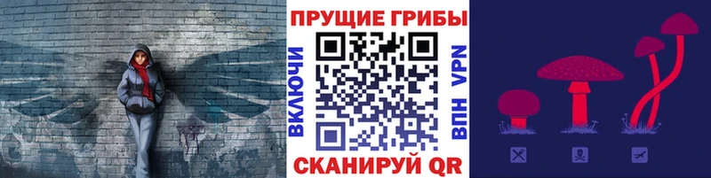 Галлюциногенные грибы мухоморы как найти закладки Кириши