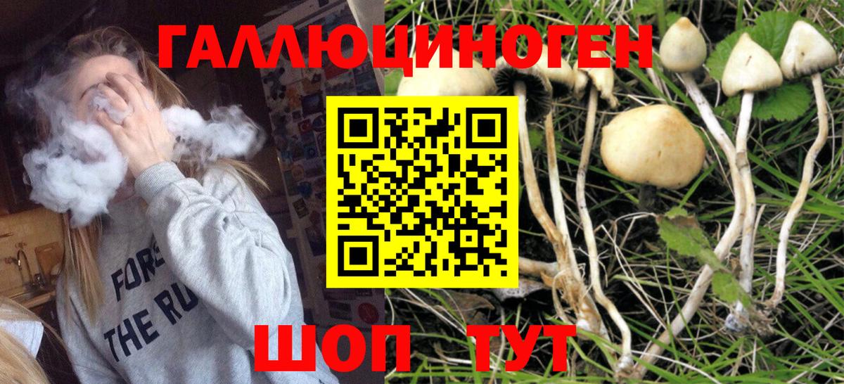 Псилоцибиновые грибы MAGIC MUSHROOMS  Вход с VPN  Псилоцибиновые грибы Psilocybine cubensis  Кириши 