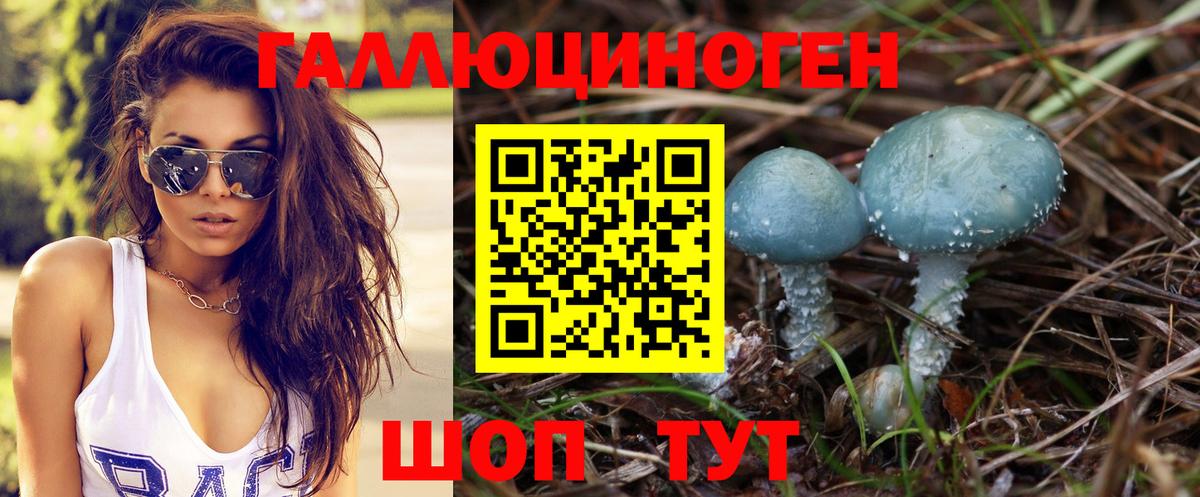 Псилоцибиновые грибы Cubensis Кириши